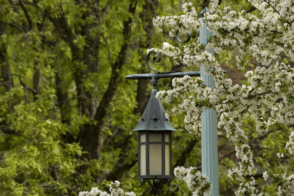 Photo of MSU Lantern